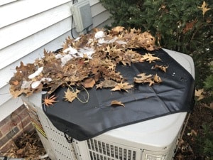 Cover with leaves